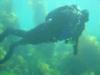 Paul from Yorba Linda CA | Scuba Diver