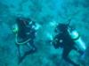 Michelle from Atlanta GA | Scuba Diver