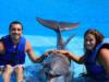 Louis DiCostanzo from Smallwood NY | Scuba Diver