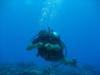 Marc Oliver from   | Scuba Diver