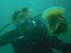 Angela from Endicott NY | Scuba Diver