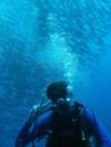 Ismael Oltra Barrasa from   | Scuba Diver