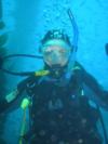 Dawn from Long Beach CA | Scuba Diver