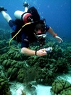 Kevin from Plano TX | Scuba Diver