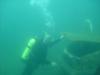 Paul from Luray VA | Scuba Diver