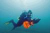 Sandra from Dana Point CA | Scuba Diver