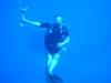 Patrick from Saint Petersburg FL | Scuba Diver