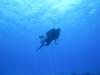 Rudy from Perris CA | Scuba Diver