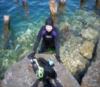 Website goes virtual so divers can go deep