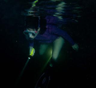 Night Snorkeling - Discover the Wonders of Snorkeling at Night