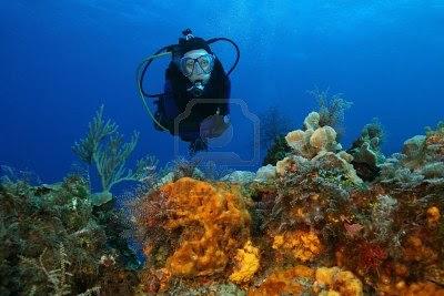 Diving Doc: Preventing and Treating Coral Scrapes