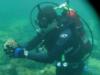 aurelien from North Miami Beach FL | Scuba Diver