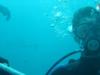 Tony from Fort Walton Beach FL | Scuba Diver