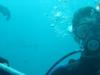 Tony from Fort Walton Beach FL | Scuba Diver