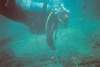 Kris from Petal MS | Scuba Diver
