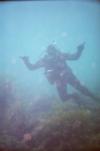 Joe from Ahwahnee CA | Scuba Diver