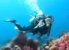 RICHARD BERG from Munster IN | Scuba Diver