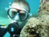 eric from Alicante  | Scuba Diver