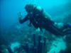 Beverly from Edgewater NJ | Scuba Diver