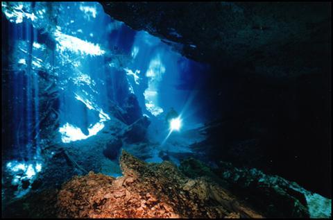 Cancun Dive