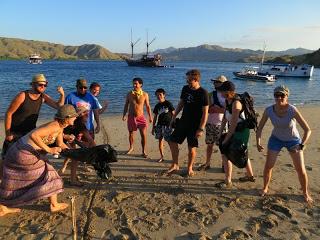 Shark Education Liveaboard in Komodo!!!