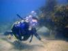 Ben from Fort Lauderdale FL | Scuba Diver
