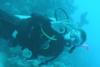 Immanuel from   | Scuba Diver