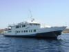 Sea Queens Fleet from   | Charter Service