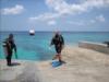 Dive Buddy in Grand Cayman  Week of January 18