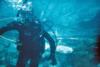 Kathy from Clearwater FL | Scuba Diver