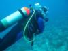 Elizabeth from West Palm Beach FL | Scuba Diver