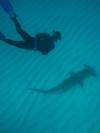 Andrew from New Smyrna Beach FL | Scuba Diver