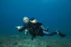 Gregg from Corvallis MT | Scuba Diver