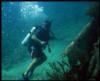Jason from Miami Beach FL | Scuba Diver