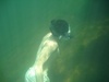 Wayne from Roseville CA | Scuba Diver