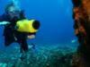 Steve from La Palma CA | Scuba Diver