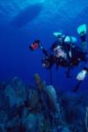 Mike from Toronto  | Scuba Diver
