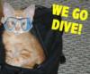 Warren from Little River SC | Scuba Diver