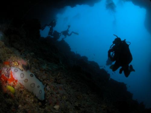 TURTLE TOMB - Sipadan cave