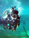 dayglo from Gainesville FL | Scuba Diver