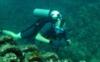 Neil from Basseterre  | Scuba Diver