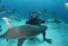 Milton from Fleming Island FL | Scuba Diver