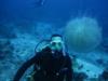 David from Albany CA | Scuba Diver