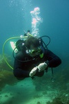 Dalton from Marina Del Rey CA | Scuba Diver