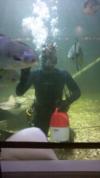 Ted from Cherry Hill NJ | Scuba Diver