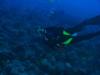 Matt from Lahaina HI | Scuba Diver