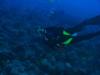 Matt from Lahaina HI | Scuba Diver