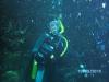 Nicky from Baltimore MD | Scuba Diver