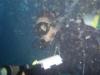 Jay from Bonita Springs FL | Scuba Diver