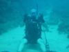 Robert from   | Scuba Diver